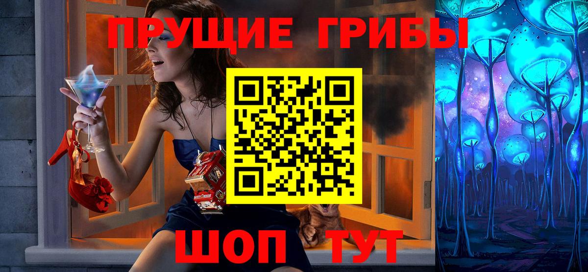 Псилоцибиновые грибы Psilocybine cubensis Урус-Мартан