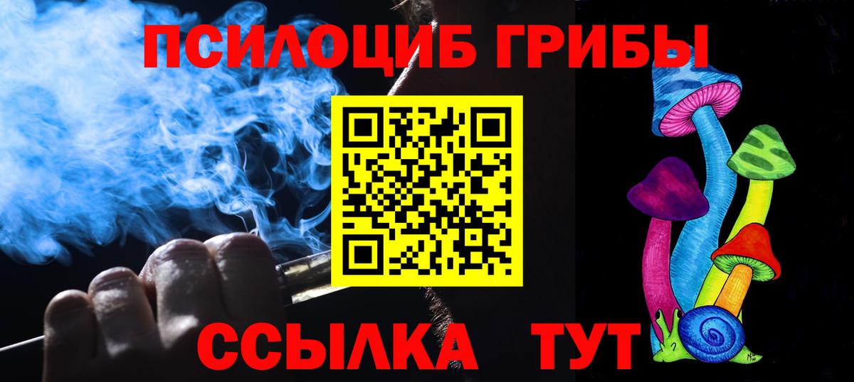Урус-Мартан  Псилоцибиновые грибы мицелий  Вход с VPN 